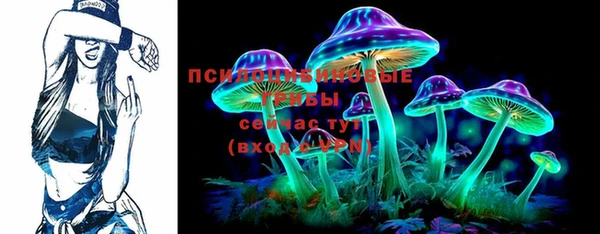 ECSTASY Богородск